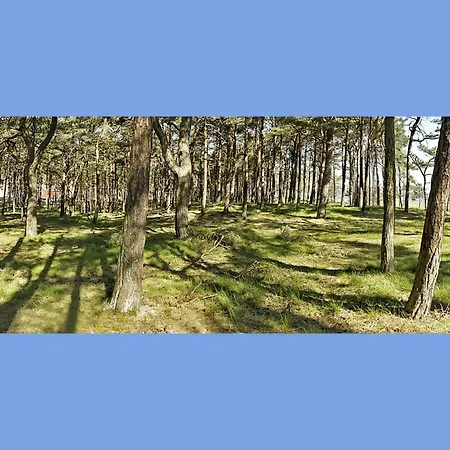 Strandpark Ostseebad Hébergement de vacances *